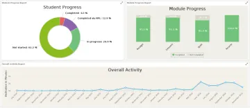 Miniatura Zoola Analytics