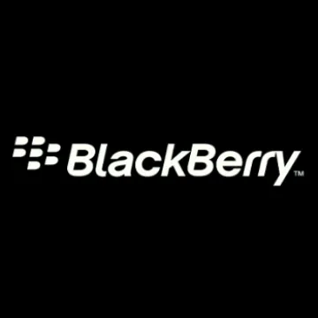 Miniatura Blackberry Work