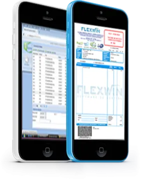 Miniatura Flexwin Facturación