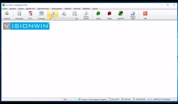 Miniatura Visionwin Accounting