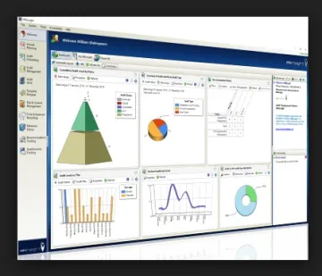 Miniatura MKinsight Software