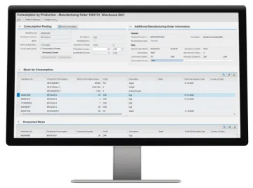 Miniatura SAP EWM Warehouse-Management