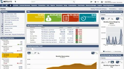 Miniatura NetSuite Accounting