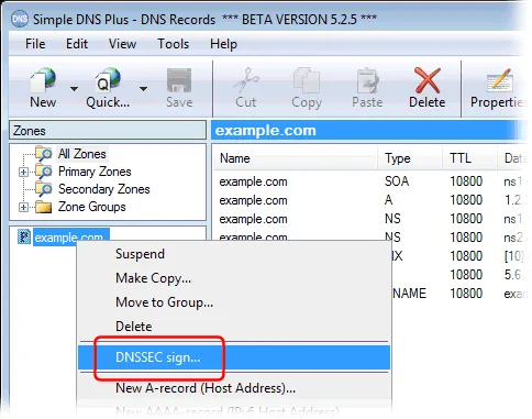 Simple DNS Plus