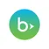Blackbaud Luminate Online