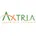 Axtria SalesIQ