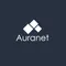 Auranet Construcción