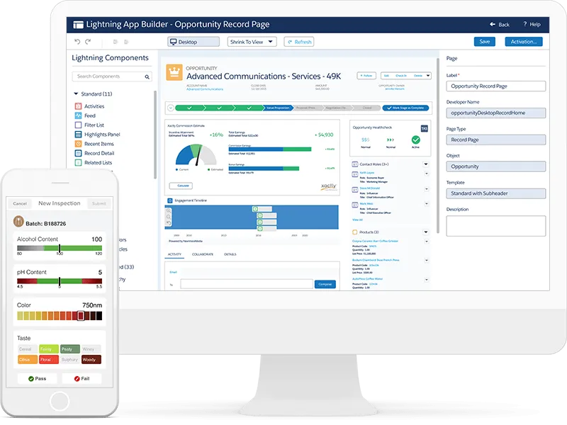 Salesforce Platform