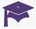 LearnPress LMS