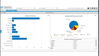 Neotel Software IVR