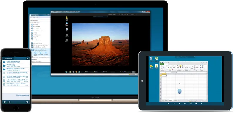 LogMeIn Pro