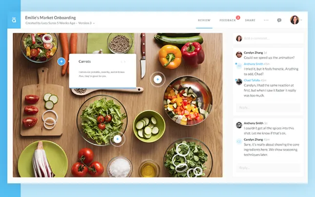Articulate 360