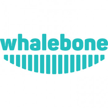 Whalebone Brasil