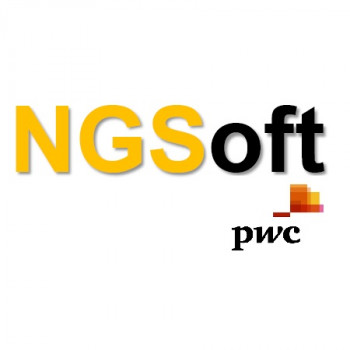 NGSoft logotipo